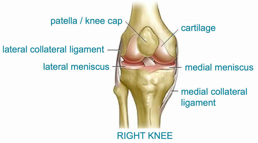 Right knee image